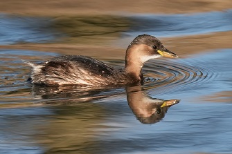 Echinger Stausee