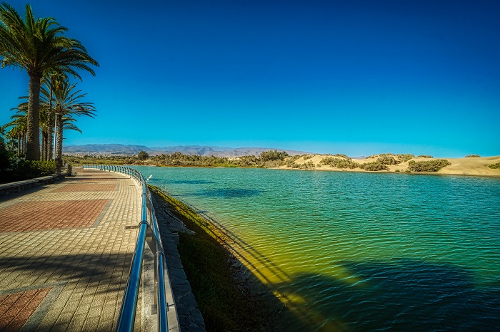 La Charca de Maspalomas