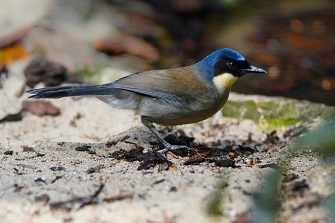 Vogelpark Walsrode