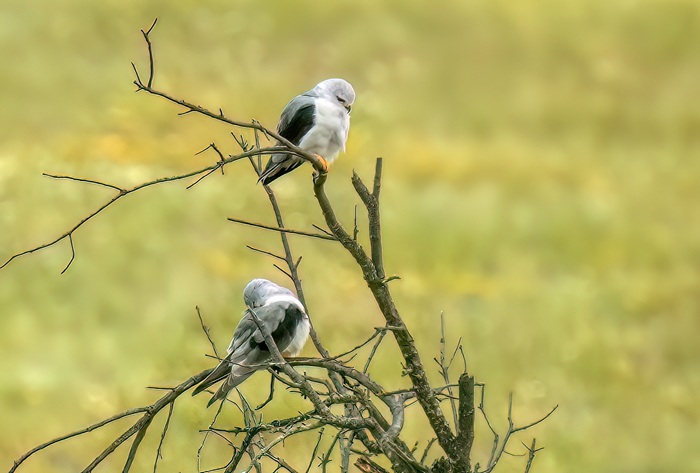 Vogelbeobchtungsreise 