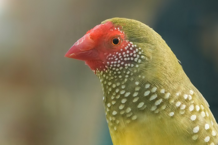 Vögel Zoo Stuttgart