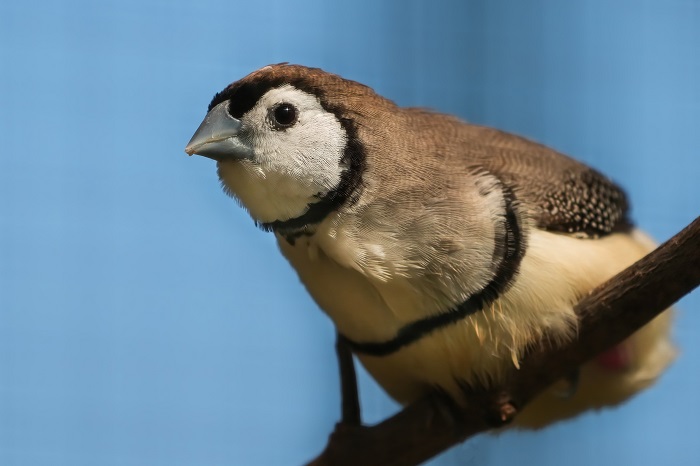 Zoo Stuttgart Vögel